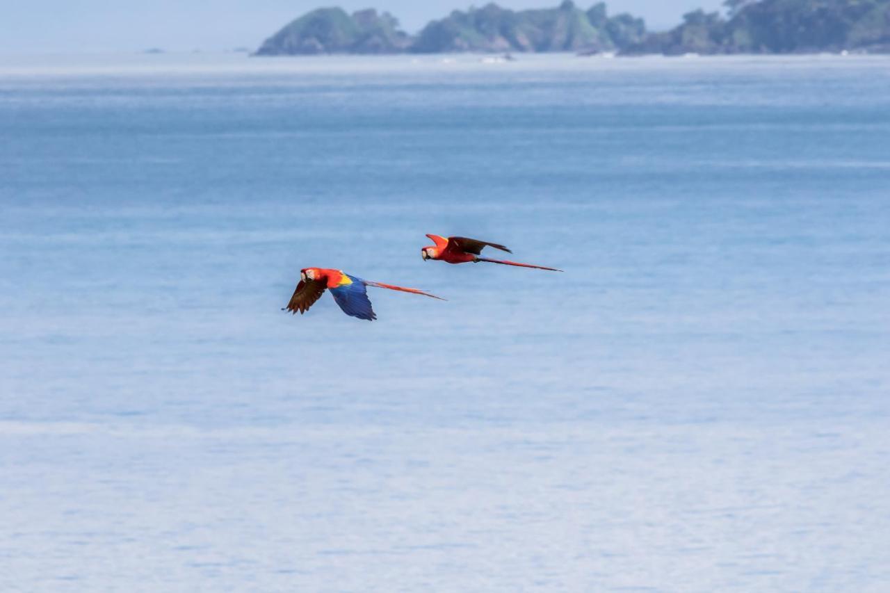 Las Cotingas Ocean View Drakes Bay Buitenkant foto